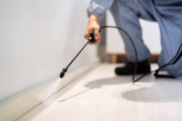 Licensed Pest Control service in Falls Church, VA - Show Me Pest Control