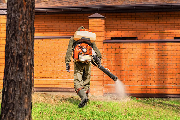 Bed Bug Clearance Verification and Documentation in Falls Church
